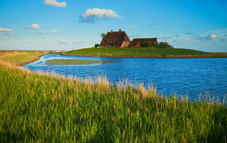 Hallig Hooge T26