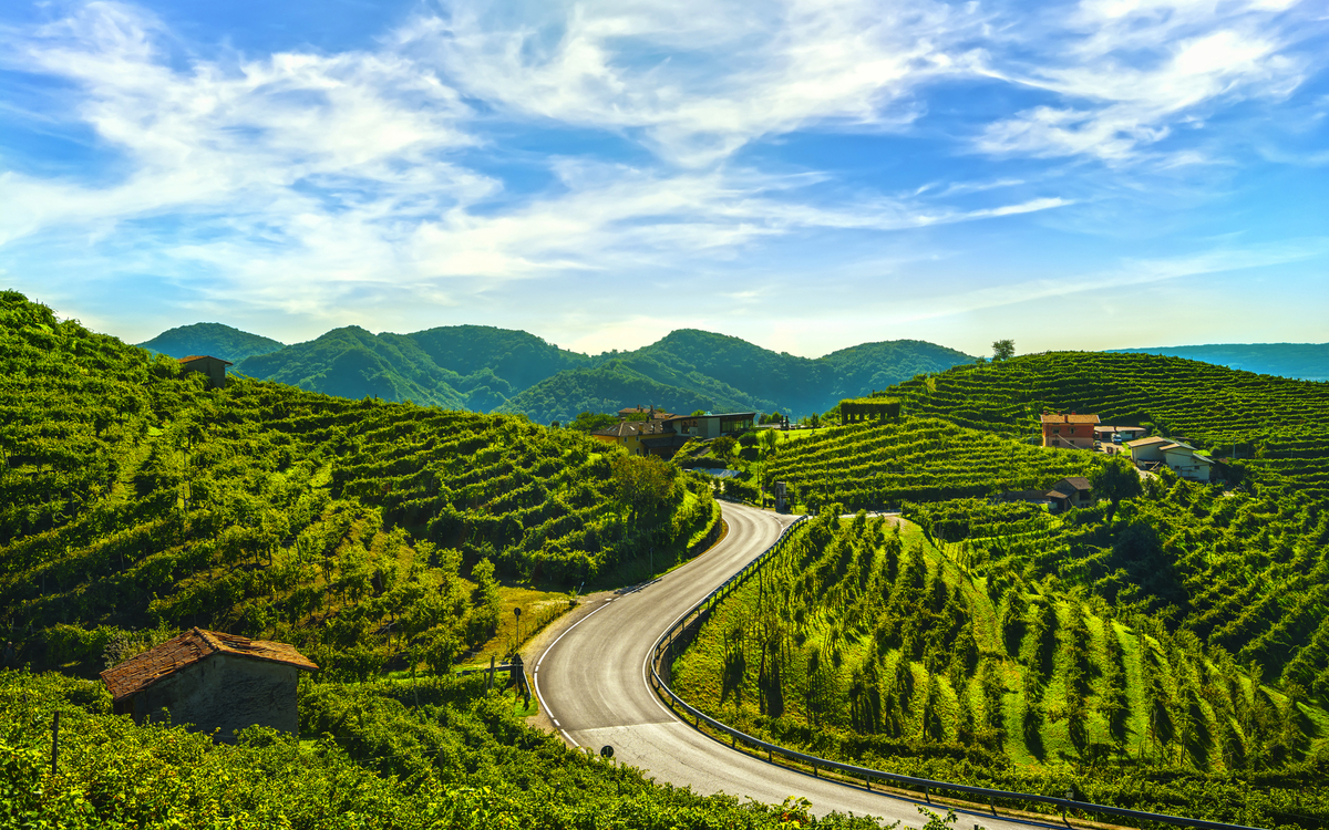Prosecco Hills nahe Valdobbiadene in Venetien, Italien