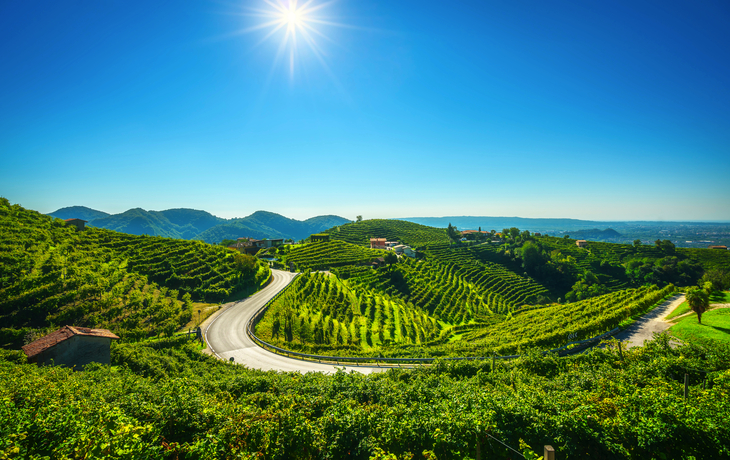 Prosecco Hills nahe Valdobbiadene in Venetien, Italien