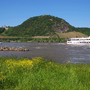 der berühmte Drachenfels am Rhein bei Königswinter