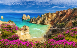Küstenlandschaft mit Felsen, türkisfarbenem Meer und rosa Blumen im Vordergrund.