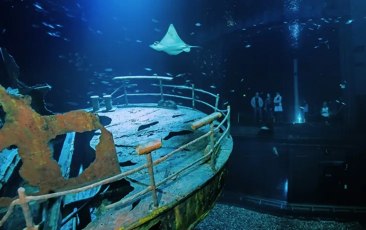Hansestadt Stralsund - Ozeaneum T25