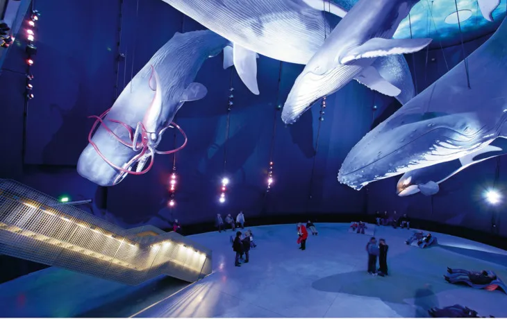 Hansestadt Stralsund - Ozeaneum T25