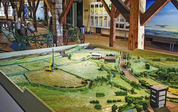 Kohlbuffet in Dithmarschen T26