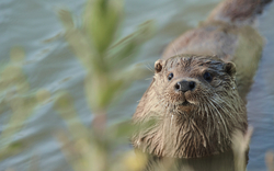 <p><span>Tönning & Multimar Wattforum</span></p>