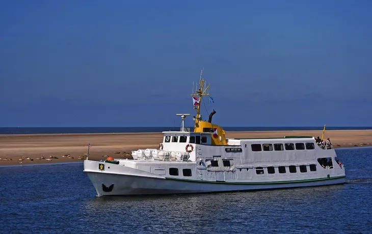 Büsum Seehundsafari T26