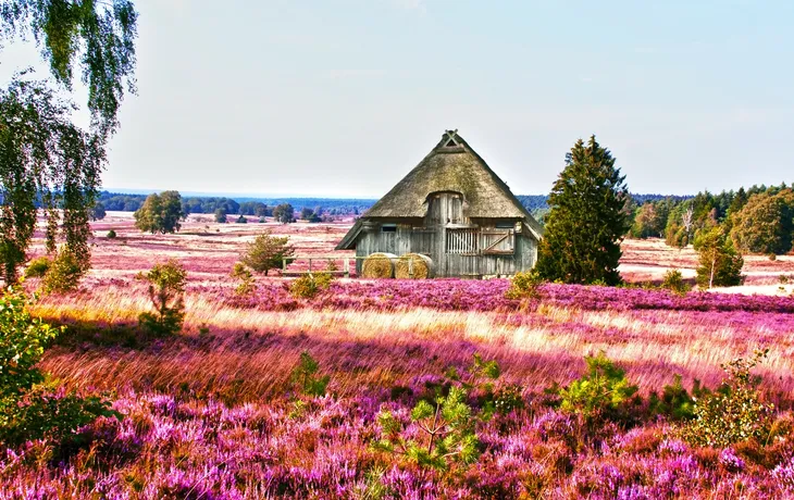 Naturerlebnis Lüneburger Heide T26