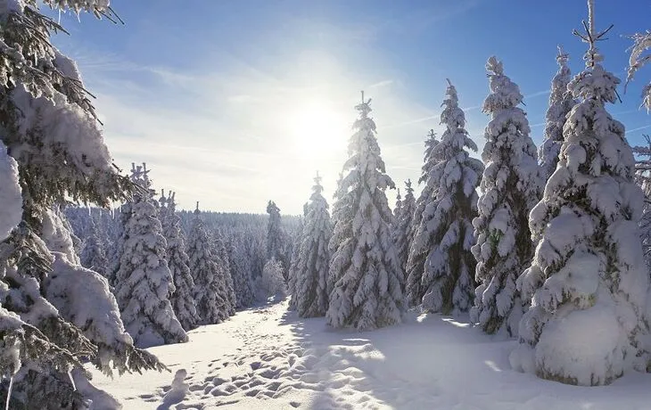 Winterlicher Harz T26