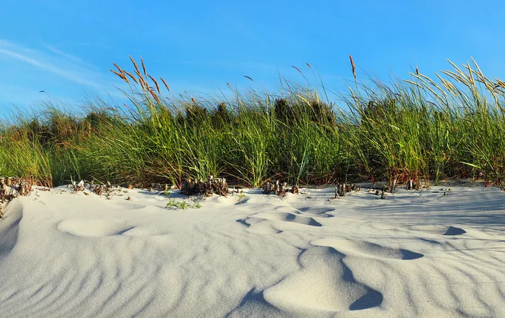 Sehlendorfer Binnensee  T26