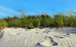 <p>Sehlendorfer Binnensee</p>