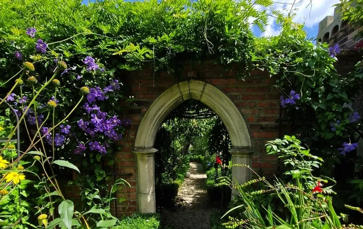 Rolli - Teatime & Cosy Cottage Garden T26