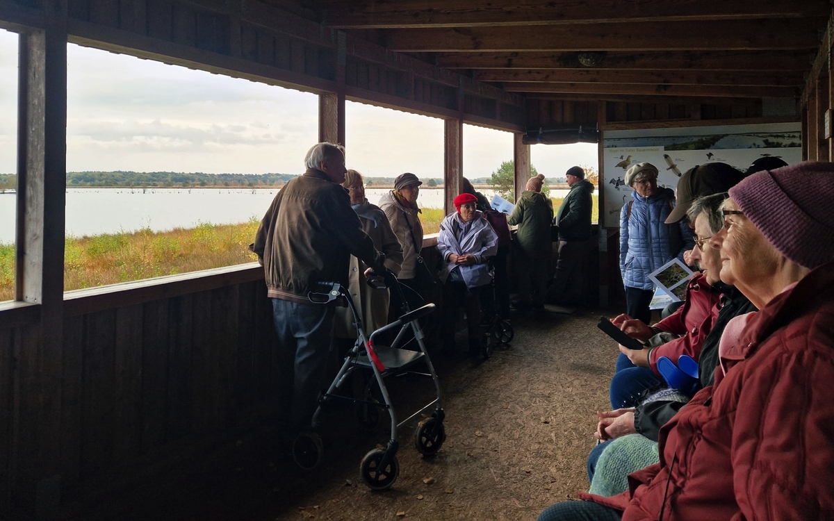 Personen beobachten Kraniche in einer überdachten Aussichtsplattform am Tister Bauernmoor.