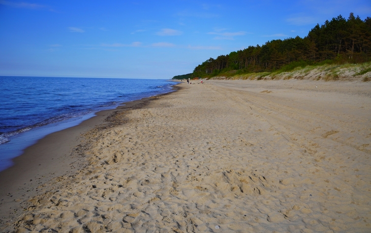 Sandstrand mit Wald nahe Pobierowo