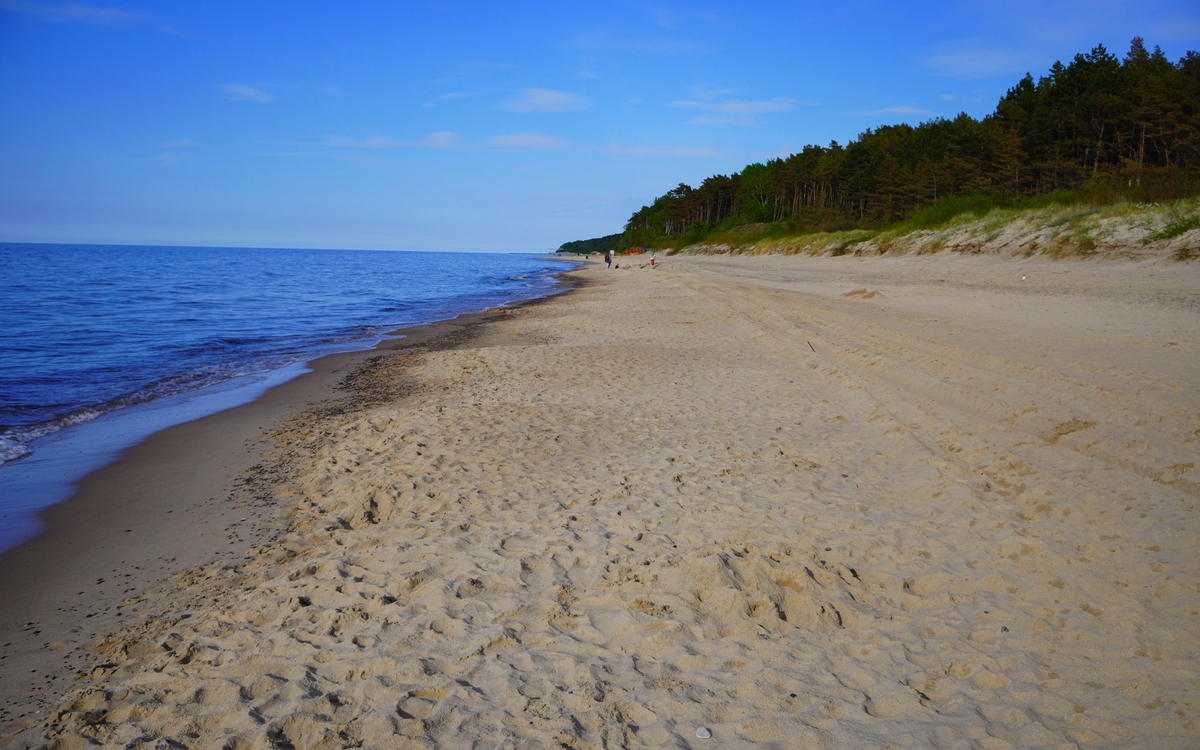 Sandstrand mit Wald nahe Pobierowo