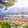 Lugano