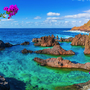 Porto Moniz