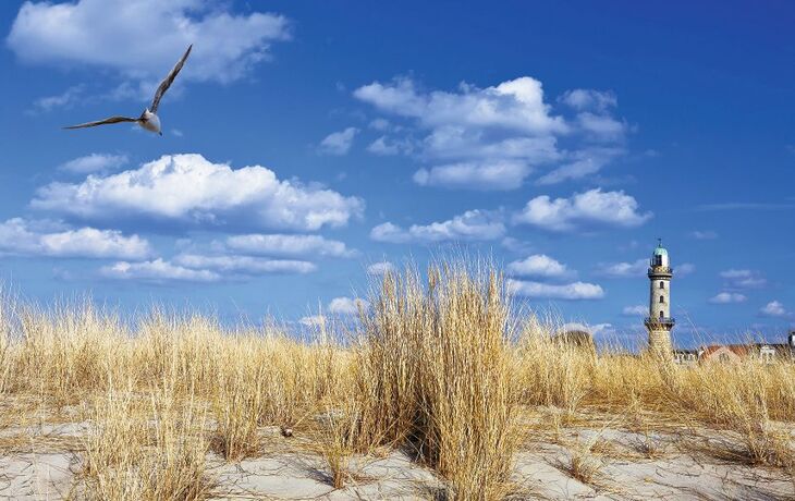Sanddünen mit Gras, darüber fliegende Möwe und ein Leuchtturm im Hintergrund.