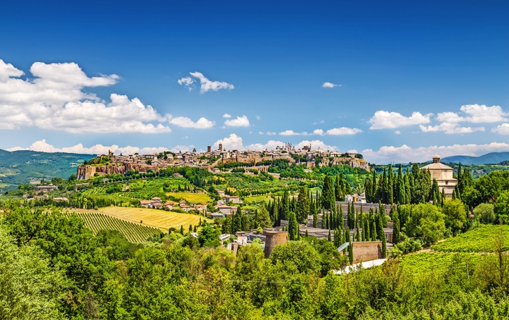 Panorama einer italienischen Stadt auf einem Hügel mit grüner Landschaft.