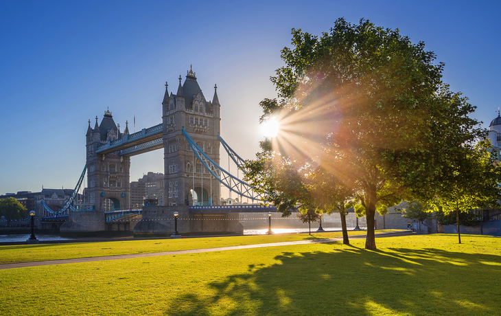Tower Bridge in London bei Sonnenaufgang mit einem Baum im Vordergrund