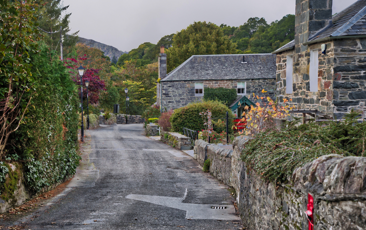 Steinweg mit alten Häusern und Bäumen in einer ruhigen ländlichen Umgebung.