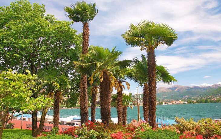 Palmen und blühende Sträucher am Luganer See in Lugano, Schweiz.