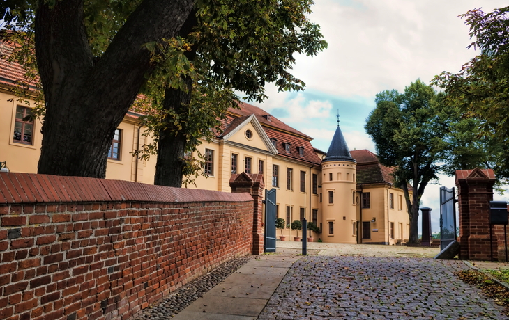 Eingang des Schlosses Stavenhagen mit historischer Fassade, Bäumen und Kopfsteinpflaster.