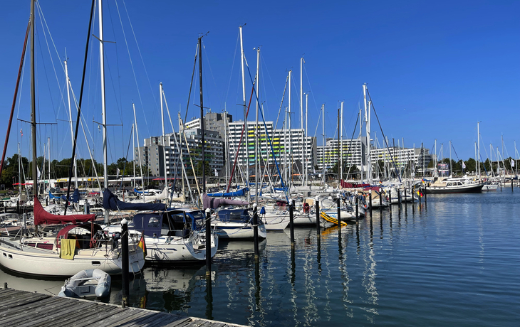 Segelboote im Hafen mit Gebäuden im Hintergrund.