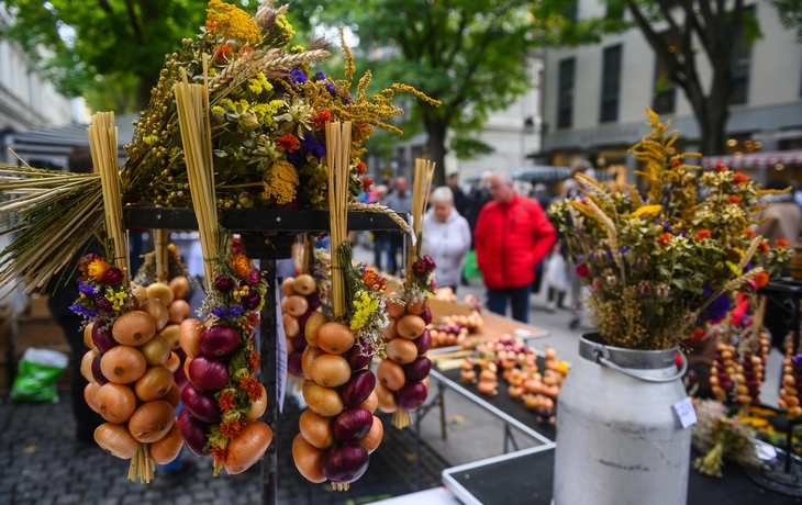 Bunte Zwiebelzöpfe und Blumensträuße auf dem Zwiebelmarkt in Weimar.