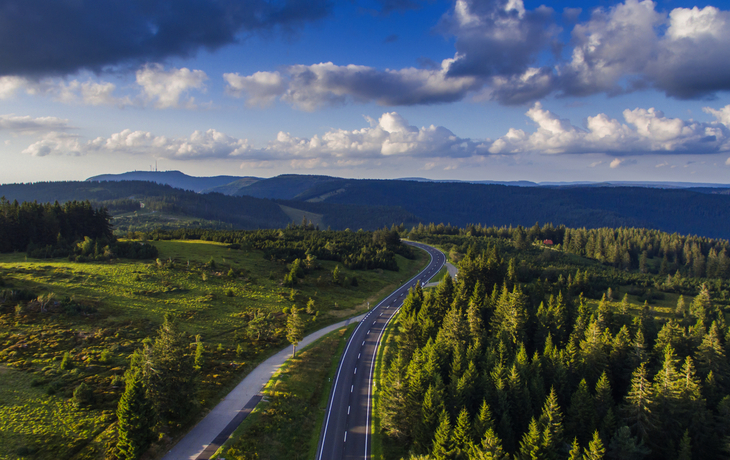 Waldlandschaft mit Straße unter einem bewölkten Himmel.