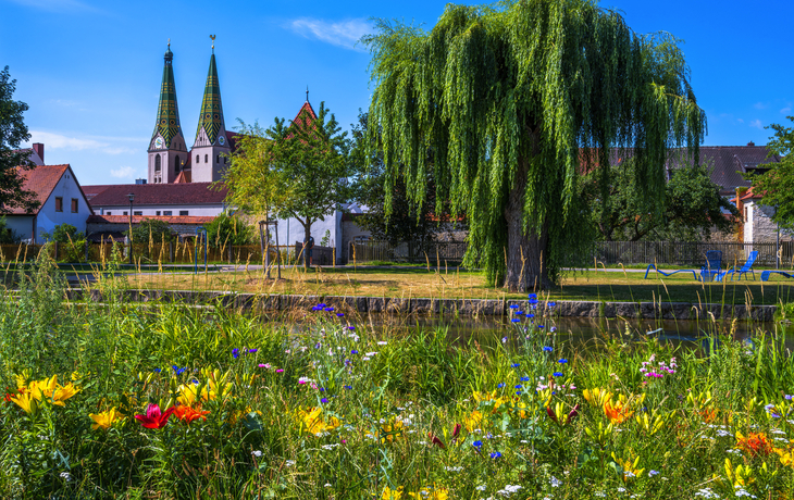 Grüne Wiese mit Blumen, Baum und Kirche im Hintergrund bei klarem Himmel.