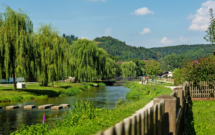 Flusslandschaft mit Bäumen und Fußgängerbrücke bei sonnigem Wetter.