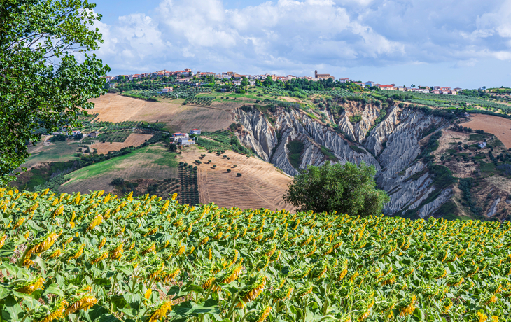 Landschaft mit Sonnenblumenfeld und Hügeln im Hintergrund.