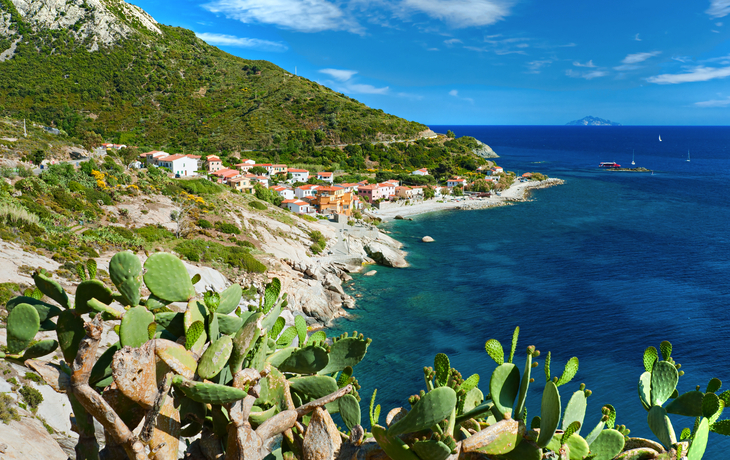 Küste mit Dorf am Hang und Meer im Hintergrund, Kakteen im Vordergrund.