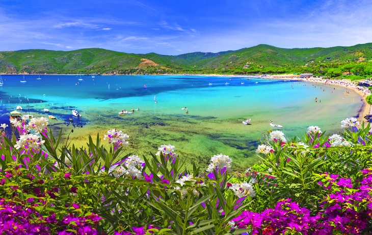 Blick auf eine farbenfrohe Küstenlandschaft mit Strand, Meer und blühenden Blumen.