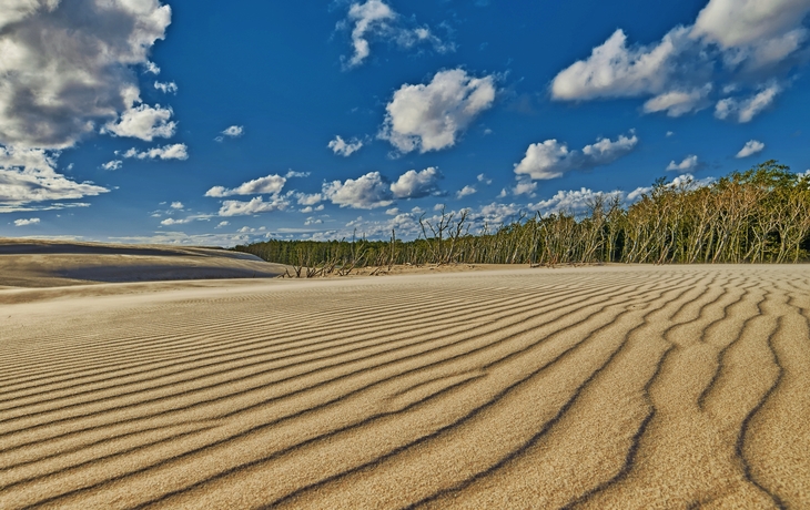 Wellenförmige Sanddünen unter blauem Himmel mit Wolken und Bäumen im Hintergrund.