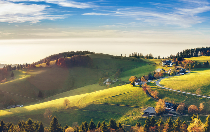Hügelige Landschaft mit Wiesen, Bäumen und vereinzelten Häusern im Sonnenschein.
