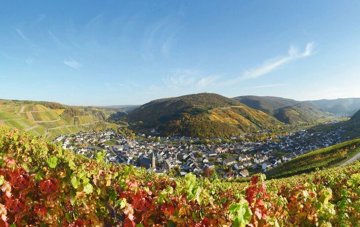 Weinberge im Herbst mit Blick auf ein Dorf und umliegende Hügel bei klarem Himmel.