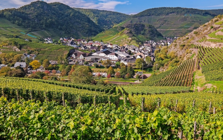 Weinberge und ein Dorf im Tal mit bewaldeten Hügeln im Hintergrund.