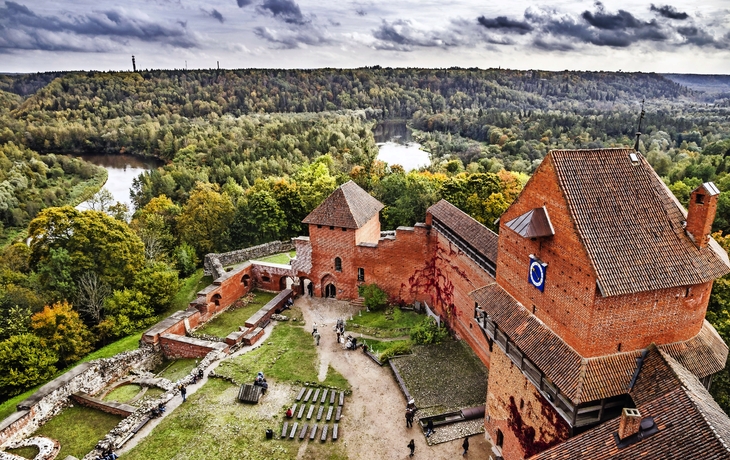Blick auf eine mittelalterliche Burg inmitten bewaldeter Landschaft.