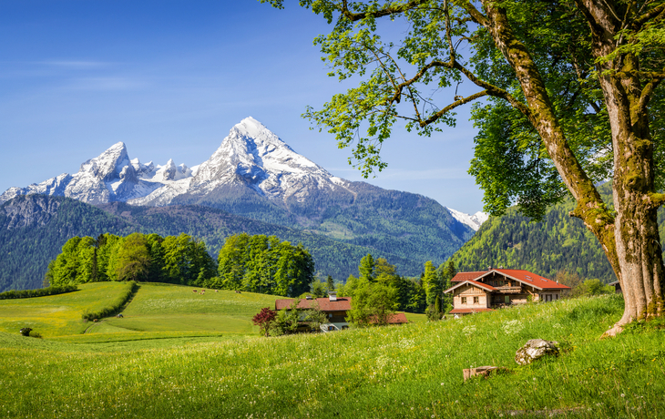 Landschaft mit Wiese, Häusern, Bäumen und Schneebergen im Hintergrund.