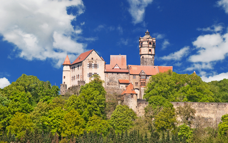 Ein Schloss auf einem bewaldeten Hügel unter blauem Himmel.