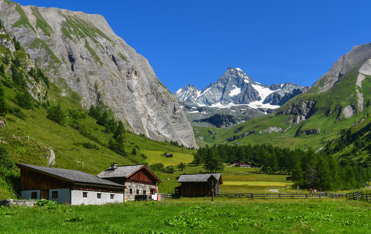 Berglandschaft mit grünen Wiesen, Holzhütten und schneebedecktem Gipfel im Hintergrund.