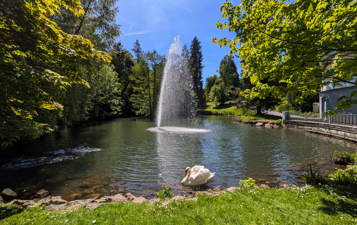Staatsbad Bad Wildungen Quellenrundweg im Kurpark