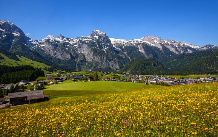 Berglandschaft mit Wiesen, Häusern und schneebedeckten Bergen im Hintergrund.