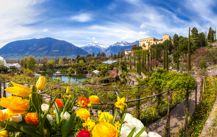 Blick auf eine blühende Gartenlandschaft mit Bergen im Hintergrund.
