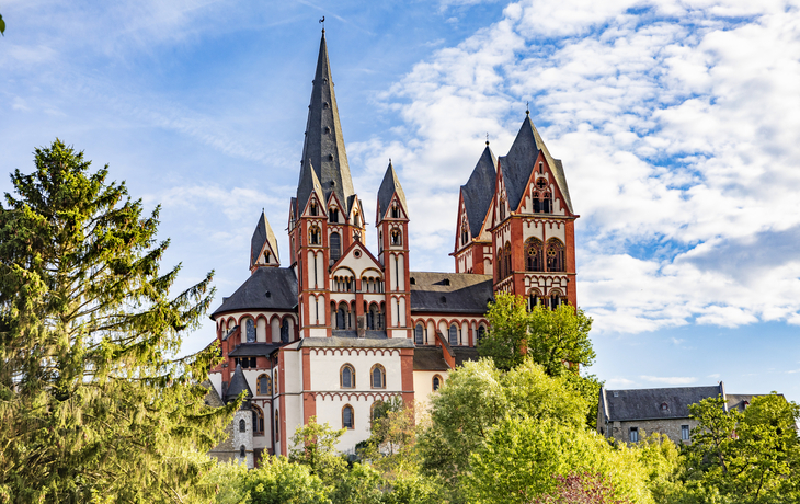 Große, gotische Kathedrale umgeben von Bäumen mit blauem Himmel im Hintergrund.