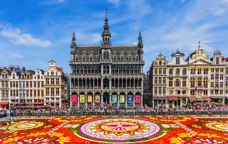 Blumenteppich auf dem Grote Markt in Brüssel mit historischen Gebäuden im Hintergrund.
