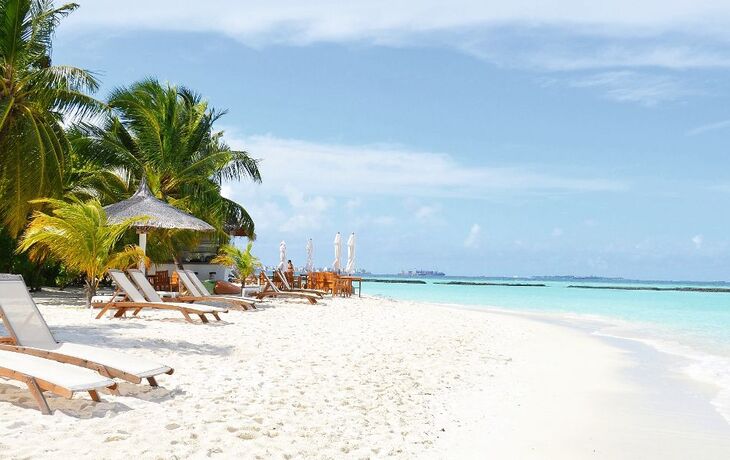 Sonnenliegen am tropischen Sandstrand mit Palmen und türkisfarbenem Meer.