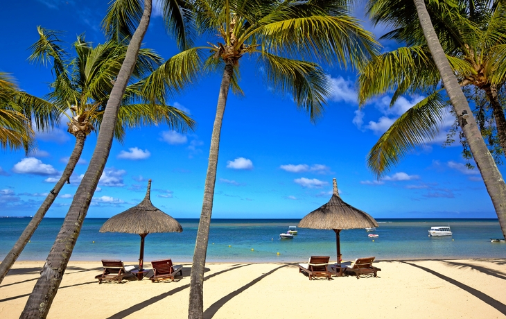 Palmenstrand mit Liegen, Sonnenschirmen und Blick auf das Meer bei klarem Himmel