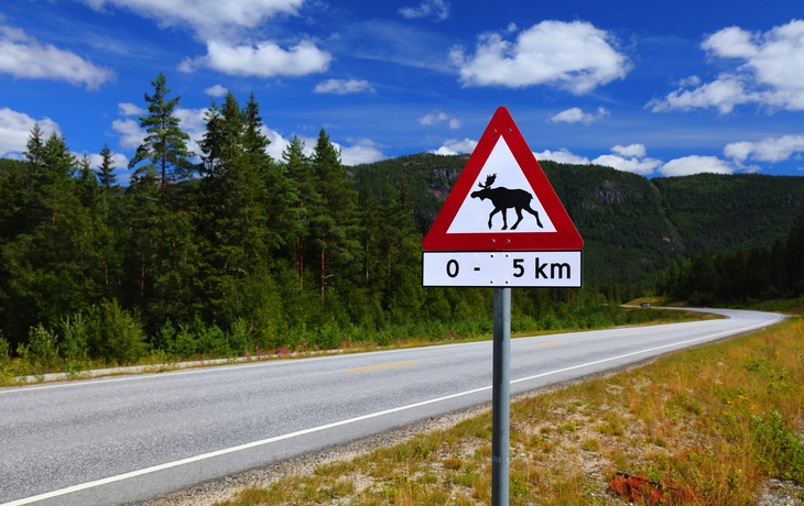 Straße durch Wald mit Warnschild für Elche, blauer Himmel im Hintergrund